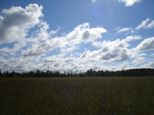 26960 (a): :1024x768